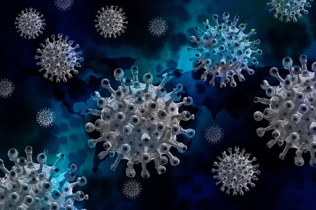 Coronavirus